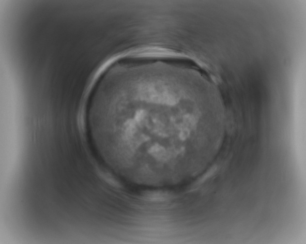 X0000113860200200910011028