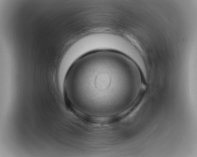 X0000113860201200910011028