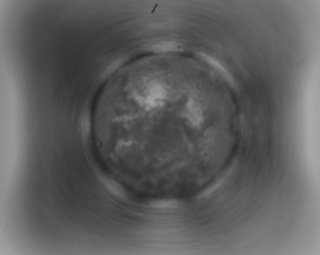 X0000113860202200910011028