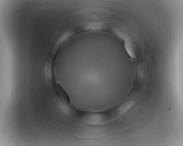X0000113860203200910011028