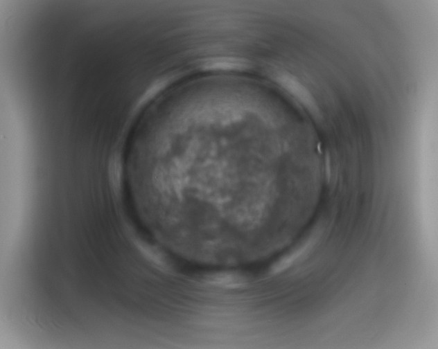 X0000113860204200910011028