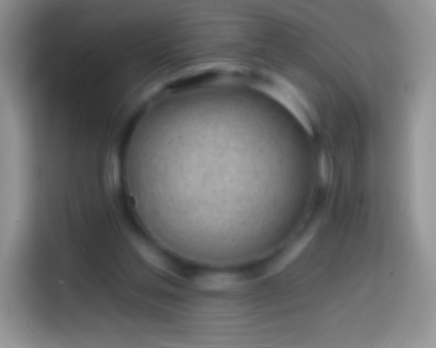 X0000113860205200910011028