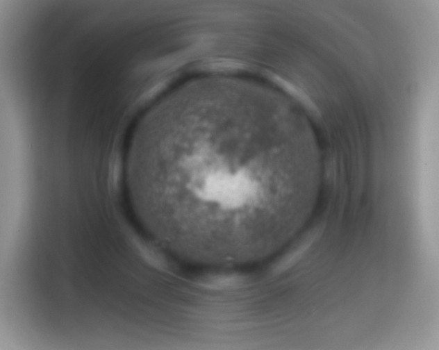 X0000113860206200910011028