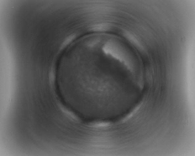 X0000113860208200910011028
