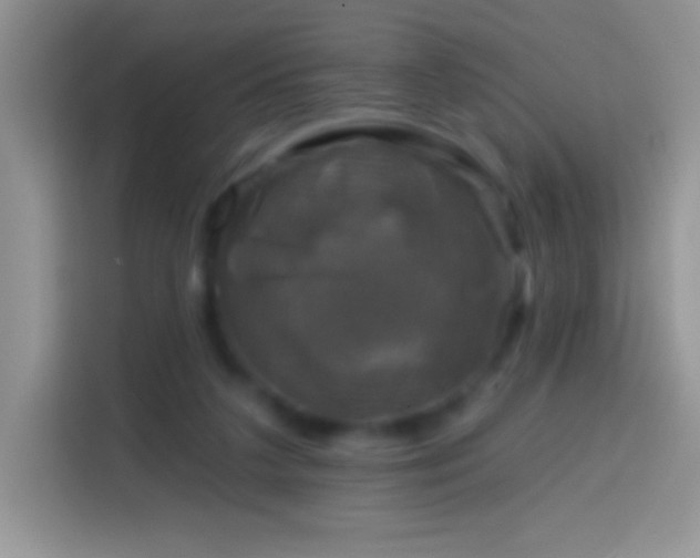 X0000113860211200910011028