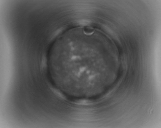 X0000113860212200910011028
