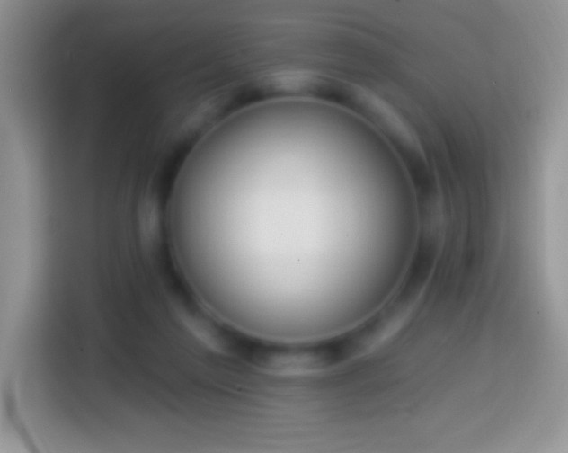 X0000113860213200910011028