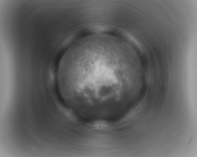 X0000113860214200910011028