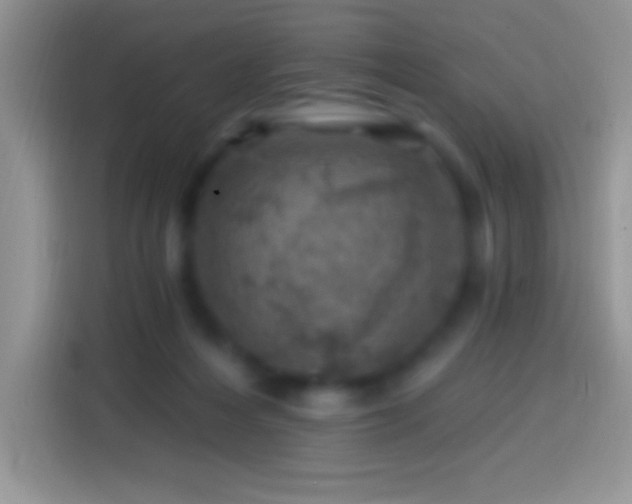 X0000113860216200910011028