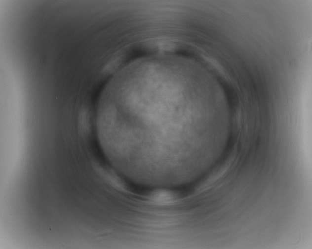 X0000113860218200910011028