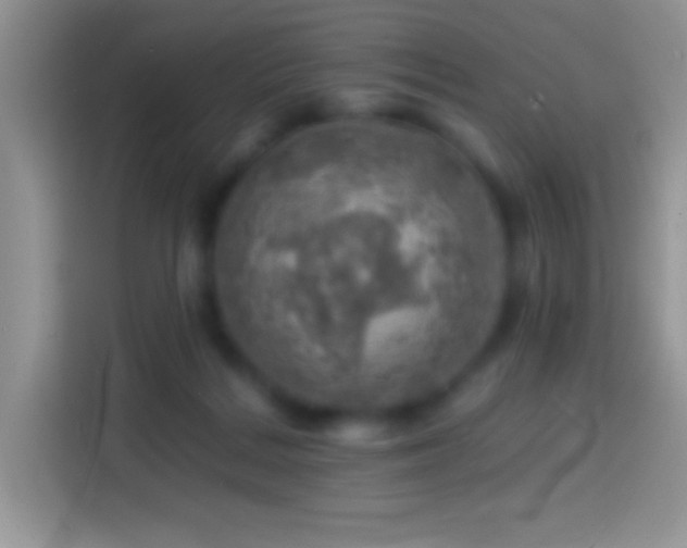 X0000113860220200910011028