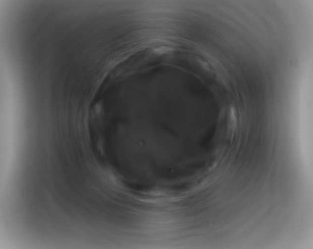X0000113860223200910011028
