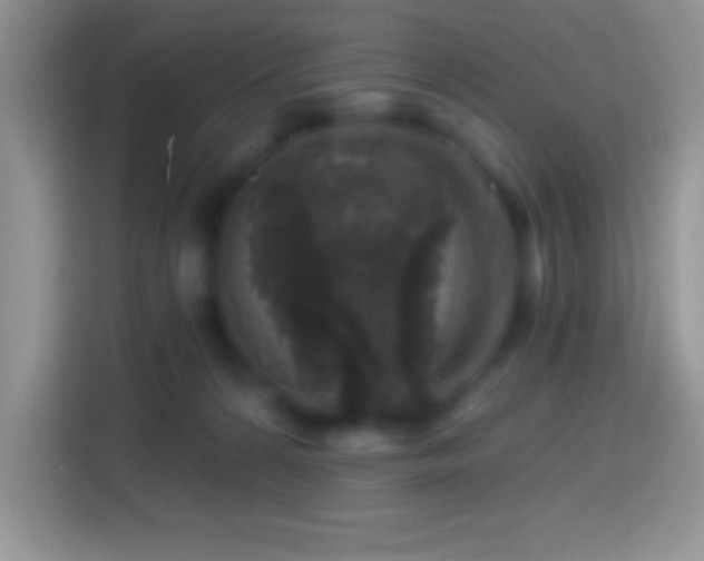 X0000113860224200910011028