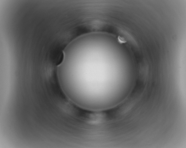 X0000113860225200910011028