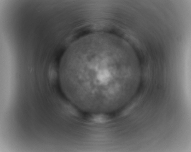X0000113860226200910011028