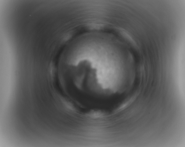 X0000113860228200910011028