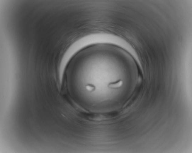 X0000113860229200910011027