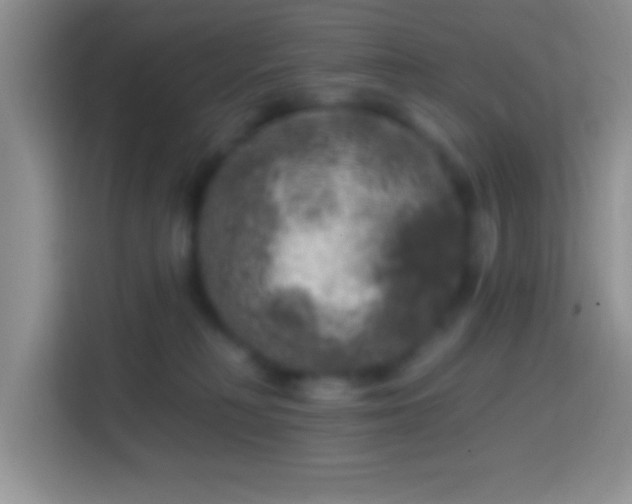 X0000113860230200910011027