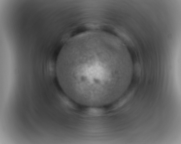 X0000113860234200910011027