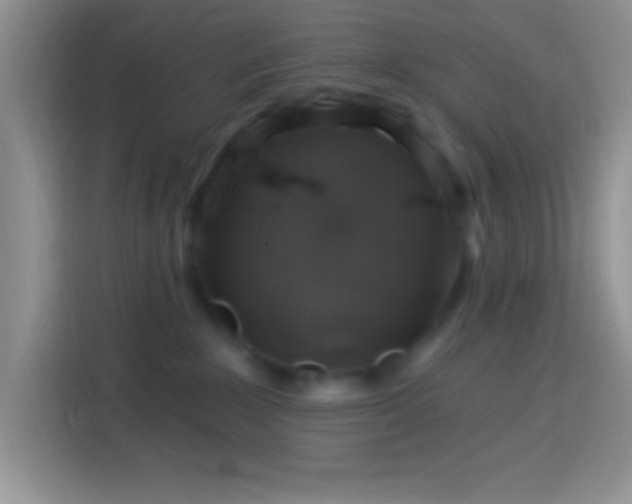 X0000113860235200910011027