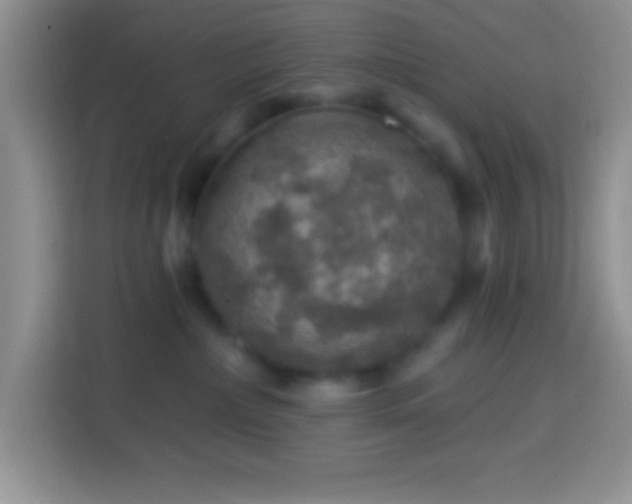 X0000113860236200910011027