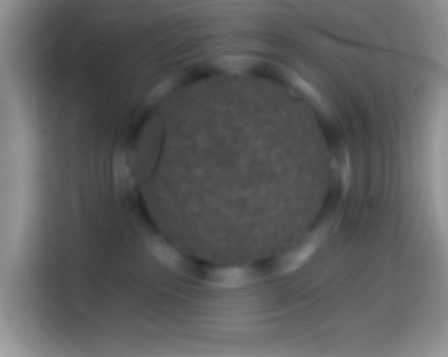 X0000113860237200910011027