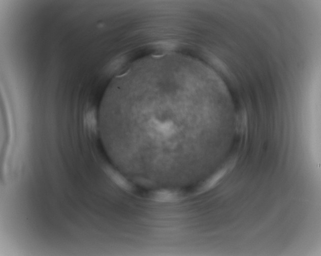 X0000113860238200910011027