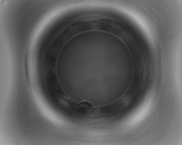 X0000113860239200910011027