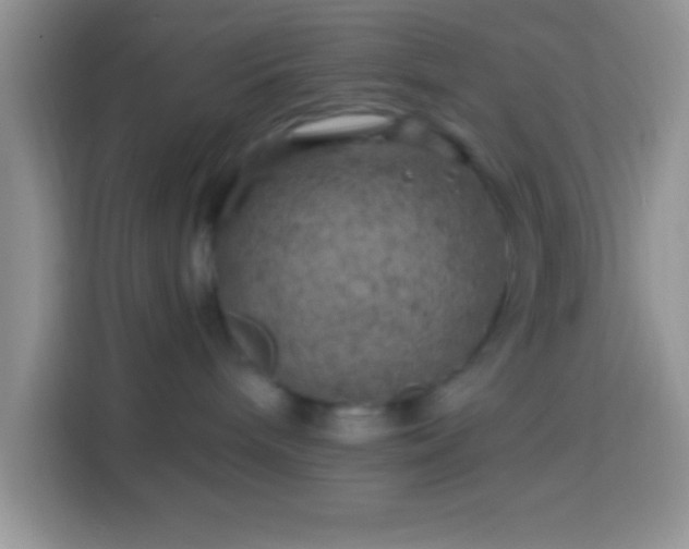 X0000113860240200910011027