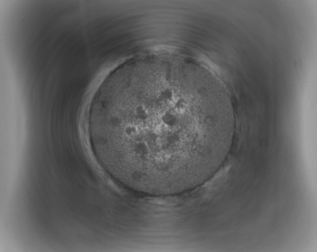 X0000113860241200910011027