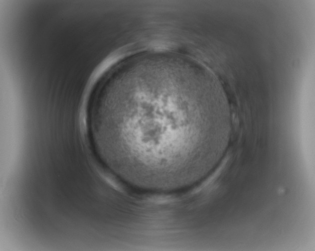 X0000113860246200910011027