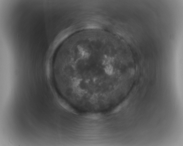 X0000113860247200910011027