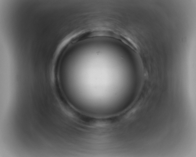 X0000113860248200910011027