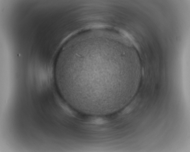 X0000113860249200910011027