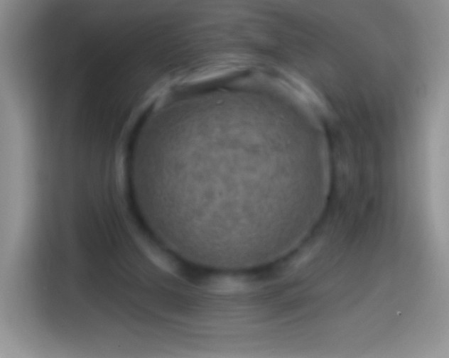 X0000113860250200910011027