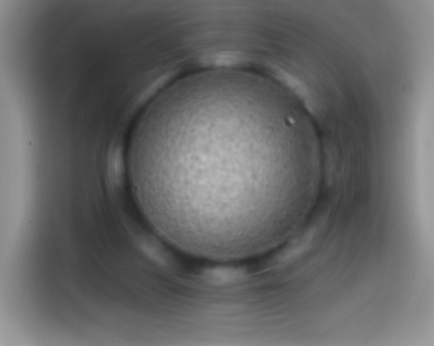 X0000113860251200910011027