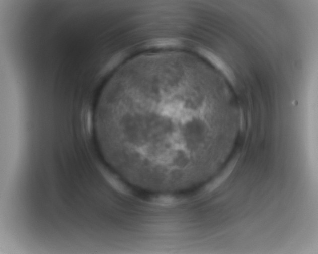 X0000113860253200910011027