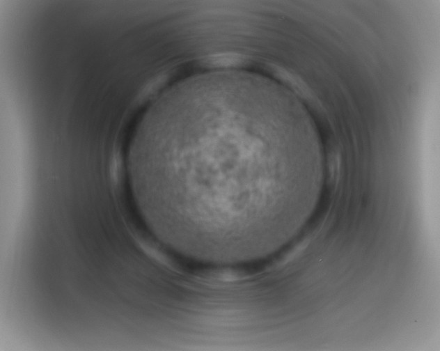 X0000113860254200910011027