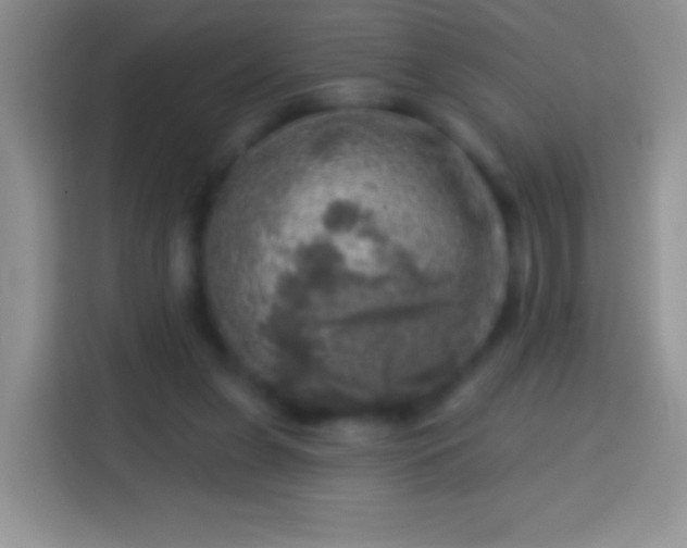 X0000113860255200910011027