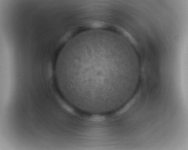 X0000113860257200910011027