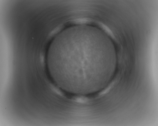 X0000113860258200910011027