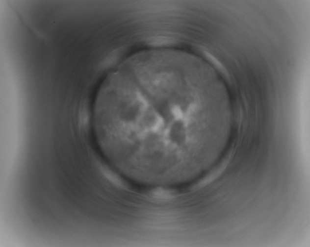 X0000113860261200910011027