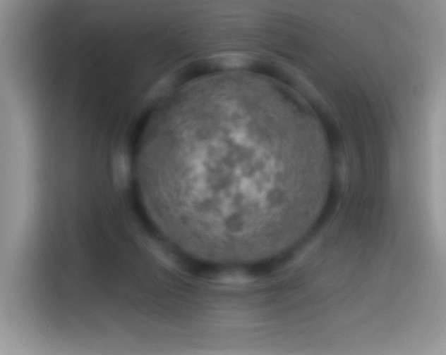 X0000113860262200910011027