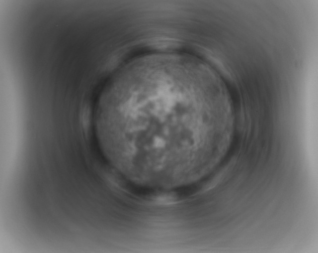 X0000113860263200910011027