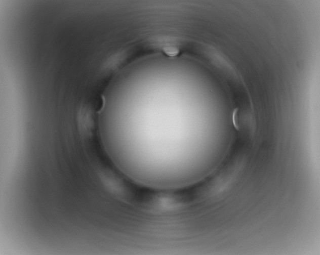 X0000113860264200910011027