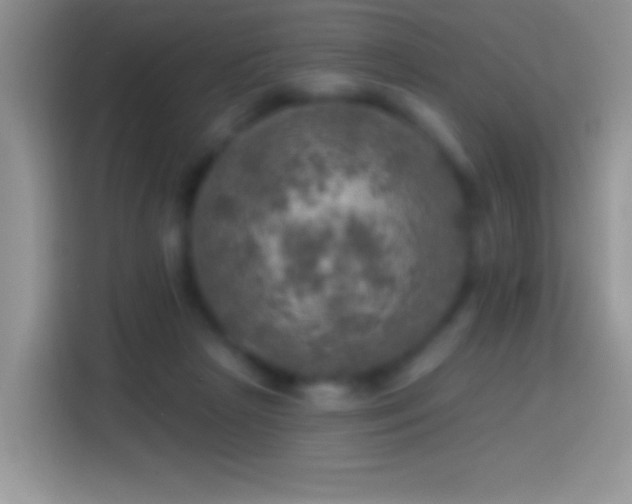 X0000113860265200910011027