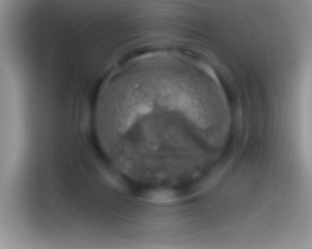 X0000113860266200910011027