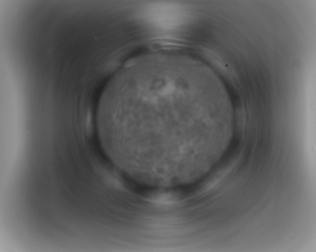 X0000113860267200910011027