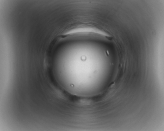 X0000113860272200910011027