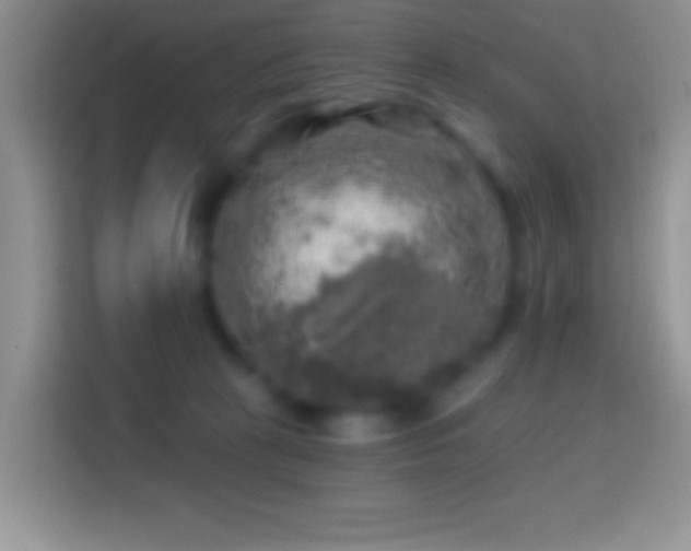 X0000113860273200910011027